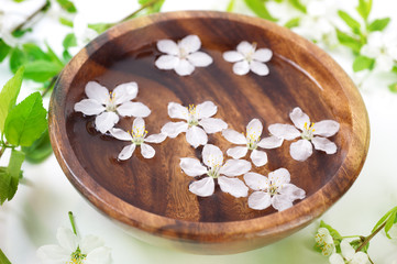 Obraz na płótnie Canvas white flowers in bowl for spa