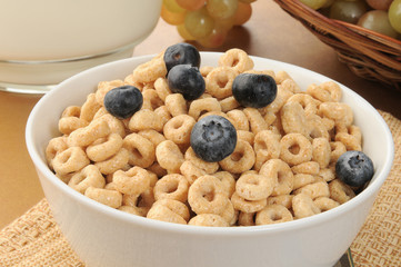 Close up of a bowl of breakfast cereal