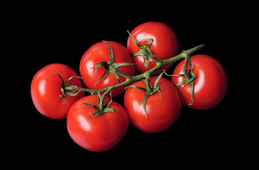 Fresh red tomatoes