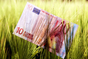 Yellow money