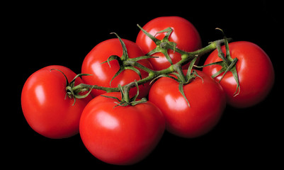 Tomatoes