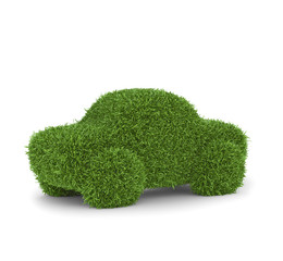 Grass covered car