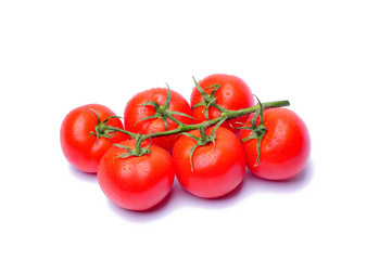 Tomatoes