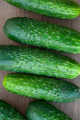 fresh cucumbers