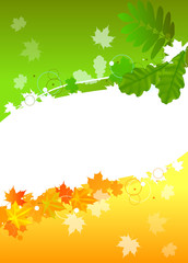 summer and fall background