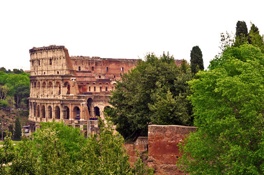 Roma: Colosseo dal colle Palatino