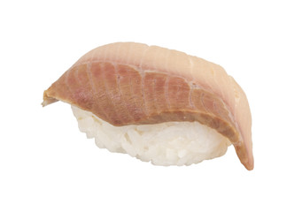 closeup of a young yellow-tail sushi