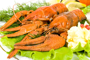 lobsters with salad