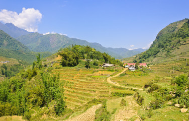 Rice terraced field on highland of Sapa, Vietnam