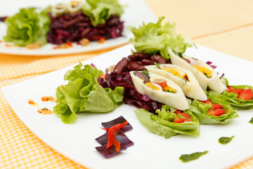 summer salad with calamari