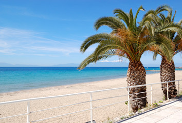 The beach with palm trees and mountain Olympus on background, Ha