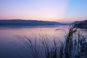 Fototapeta premium Pink Danube