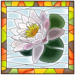Naklejki  Vector illustration of flower white water lily.