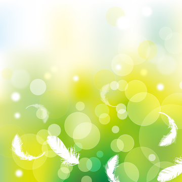 green background with feather