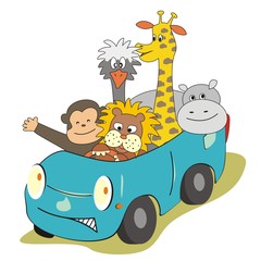 animaux dans la voiture