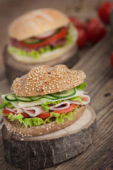 Delicious sandwich