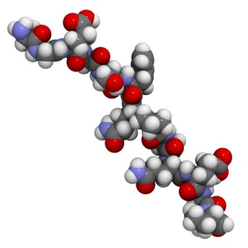 deamidated gluten peptide allergen.