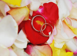 rings  on roses petals