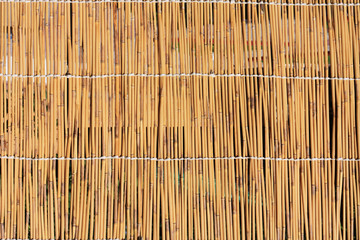 Cane texture