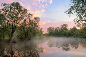 Fog and warm sky over the Narew river, Poland.