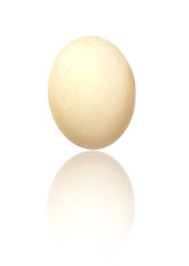 Egg of a duck