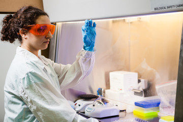 Researcher examines a sample