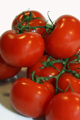 Fresh darkred tomatoes