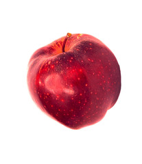 Red apple