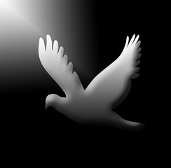 Drawing dove vector illustration