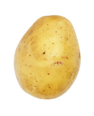 One potato isolated, object on white background