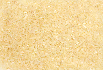 rice texture