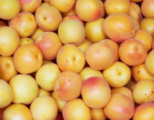 Fresh natural apricot background