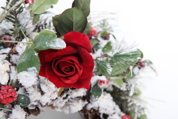 Fototapeta na wymiar splendid single red rose in bouquet