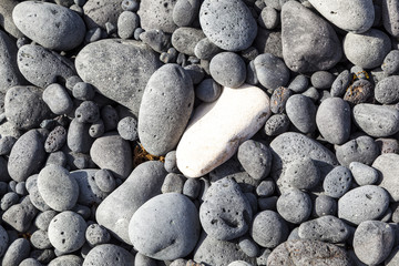 Rock background  at the beach