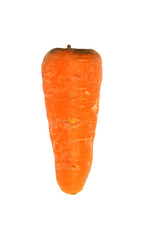 Fresh Carrot Isolated on a White Background