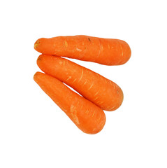 Carrot fresh vegetable group on white background
