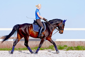 The girl goes on a brown horse