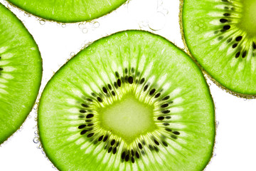 Fototapeta premium kiwi in the water