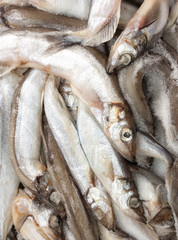 Obraz premium Fish in ice at the market