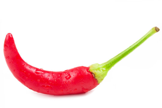 Chilli pepper on white background