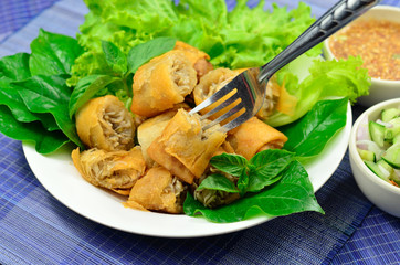 Springrolls traditional fried appetizer Vietnam cuisine