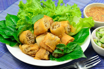 Springrolls traditional fried appetizer Vietnam cuisine
