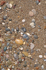 Kiesel an einem Strand