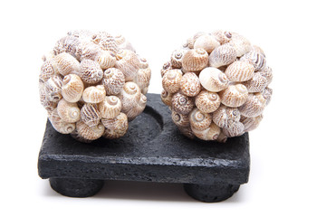 Muschelkugeln