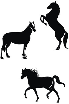 Vector set of horses