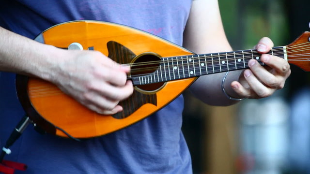 Musician playing mandolin at live concert