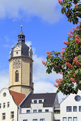 Jena Stadtkirche