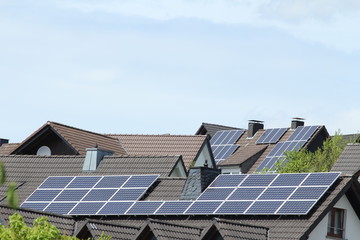 solar plants roofs
