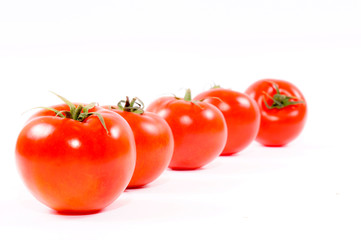 Tomatoes in line