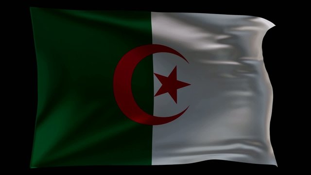 algeria_flag_waving_3d_loopable